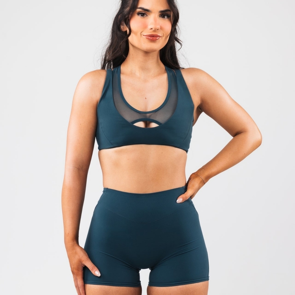 Alphalete Mia Mesh Bra Knockout